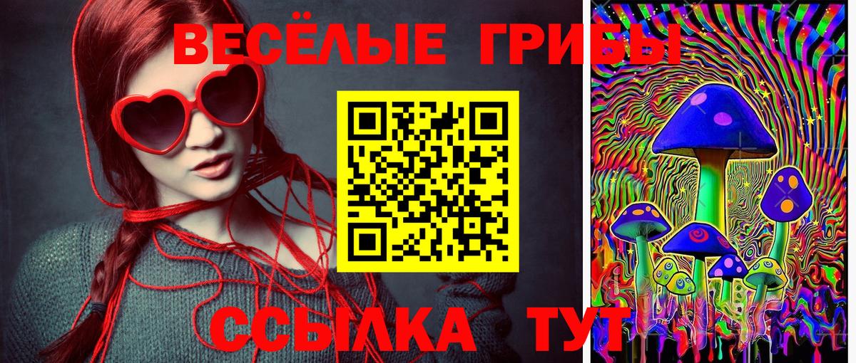 Галлюциногенные грибы Psilocybine cubensis  Псилоцибиновые грибы MAGIC MUSHROOMS  Боровичи  Вход с VPN 