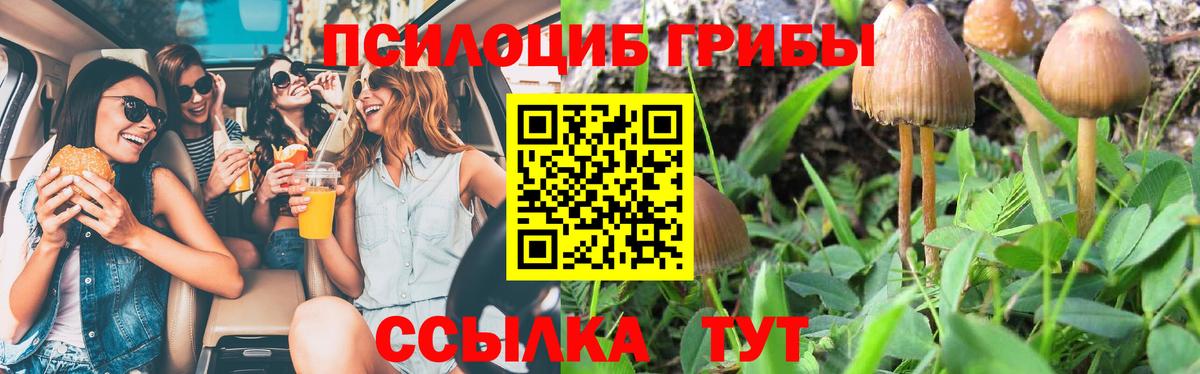 Псилоцибиновые грибы MAGIC MUSHROOMS Боровичи